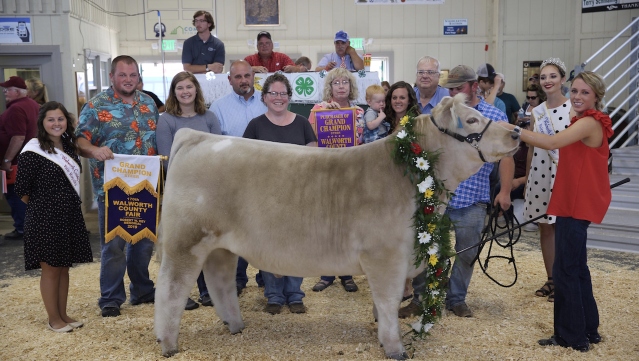 The 2019 Grand Champion Steer at the Walworth County Fair. The 2021 meat animal sale begins at 10 a.m. in the Wiswell Center. Photo by Kerry Trampe/Walworth County Fair
