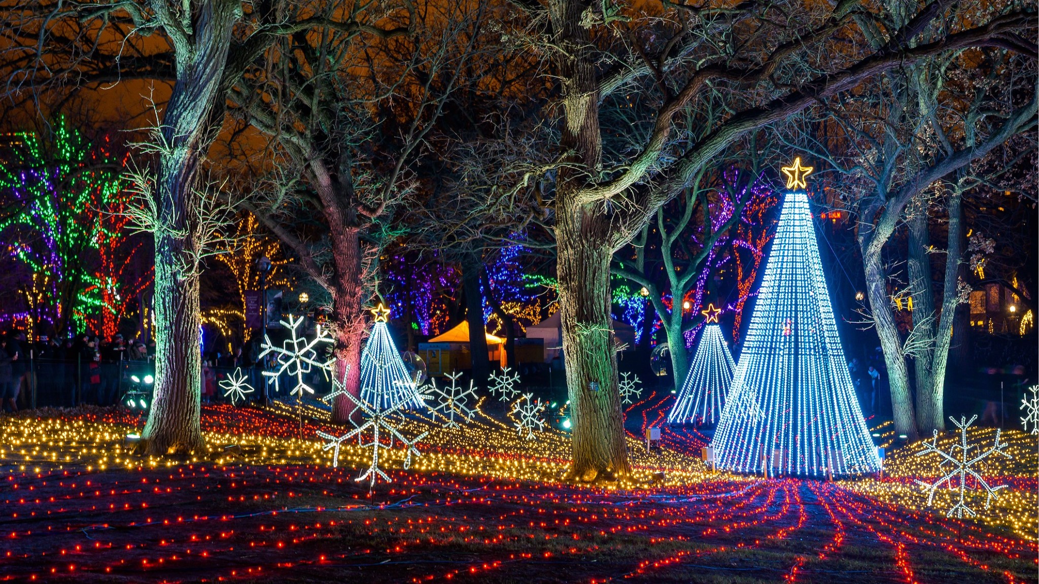 ZooLights at Lincoln Park Zoo is back this year with lots of festive holiday activities. Photo courtesy Lincoln Park Zoo.