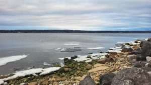 DNR monitoring manure runoff into Geneva Lake