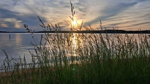 State park stickers now available when you renew your Wisconsin license plates