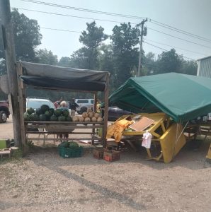 Customer injured in crash at Sweet Corn Lady produce stand in Delavan Inlet