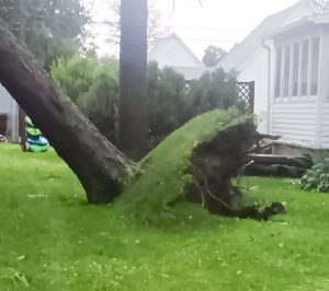 UPDATE: Donations requested as volunteers continue cleanup from July 3 storm